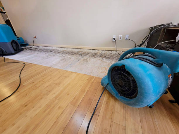 Professional Water Damage Repair technician working in Eagle Mountain, UT